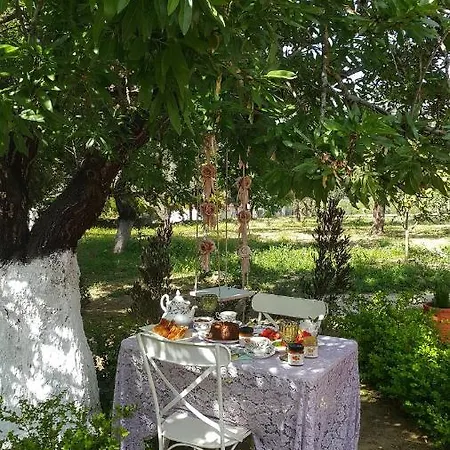 Appartement En Kefallinia Villas (adults Only)